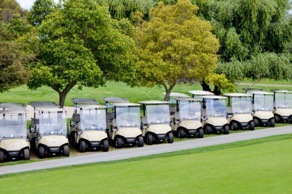 Golf carts lined up on course 