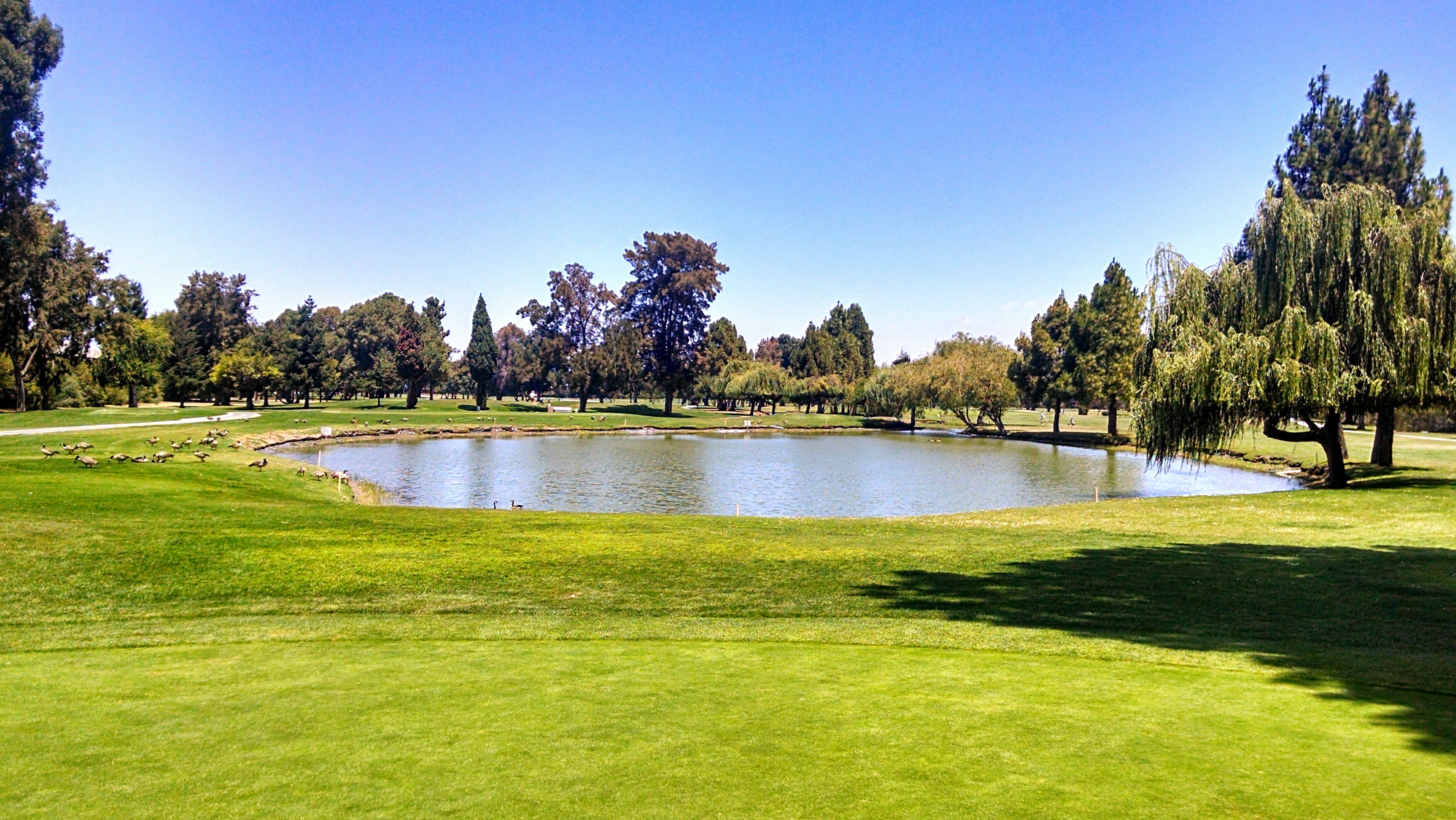 Sunnyvale Golf Course