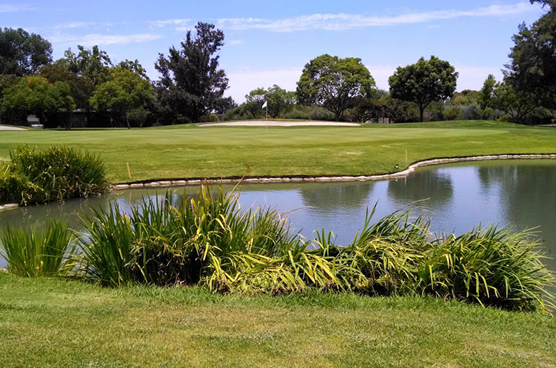 two men on golf course