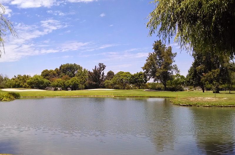 view of pond on green