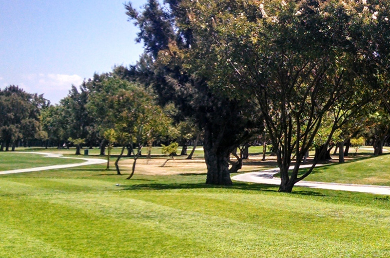 view of trees on fairway